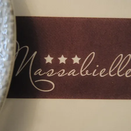 Roc De Massabielle Hotell Lourdes