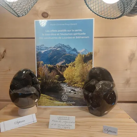 Roc De Massabielle Lourdes