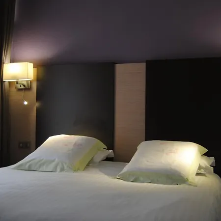 Hotel Roc De Massabielle Lourdes