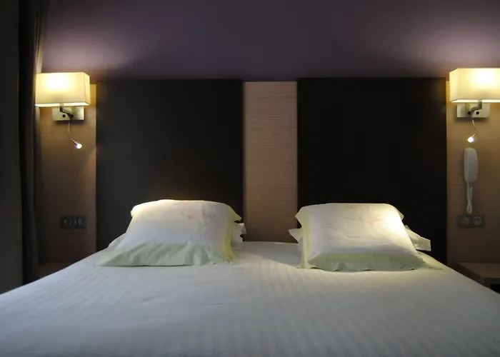 Отель Roc De Massabielle Лурд